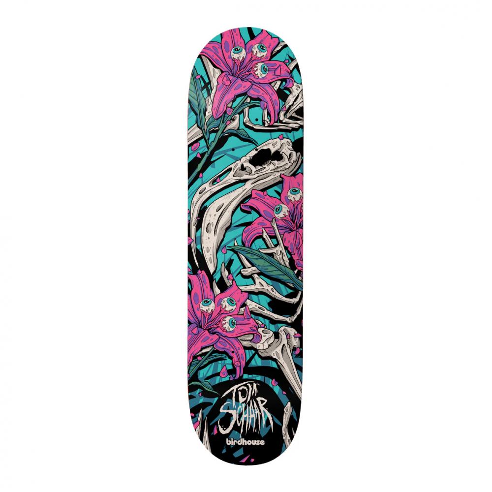 Birdhouse Pro Tom Schaar Tillbrook Deck - 8.375"