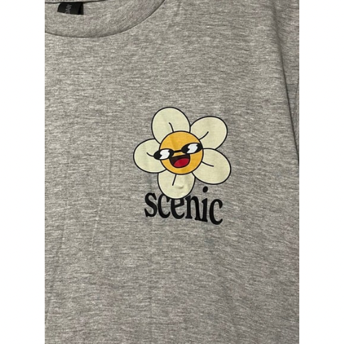 Scenic Sonny Grass Gap Youth Tee - Grey