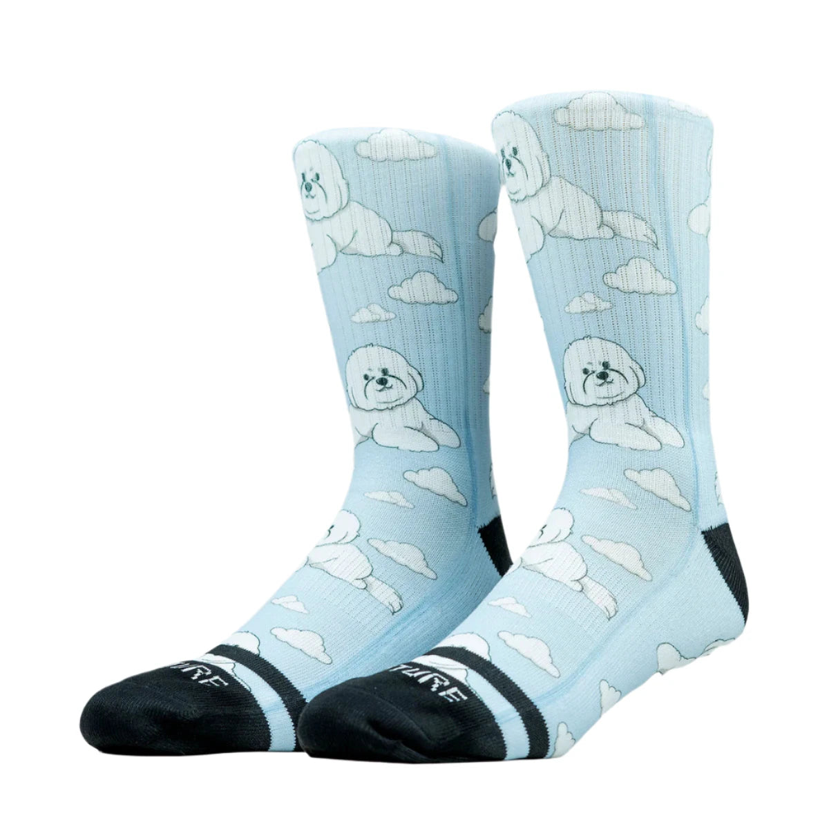 Venture Socks - Bichon