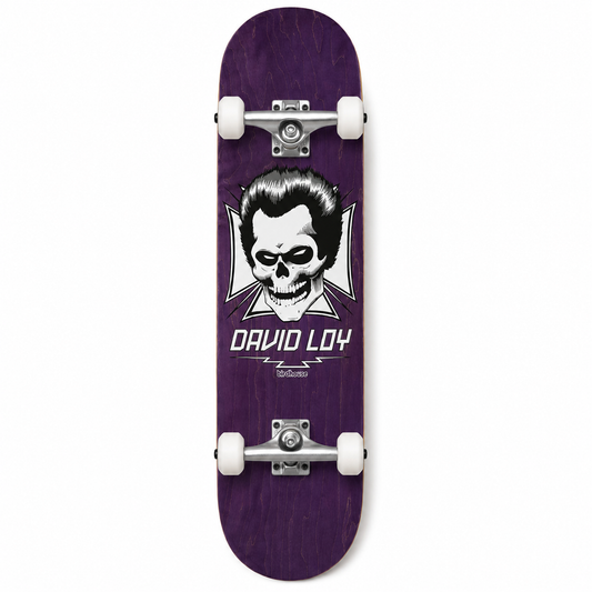 Birdhouse Loy Skull Pro Custom Complete - 8.38”