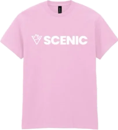 Scenic Diamond Logo T Shirt - Light Pink