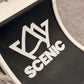 Scenic Fingerboard Halfpipe Ramp Set - Inverse