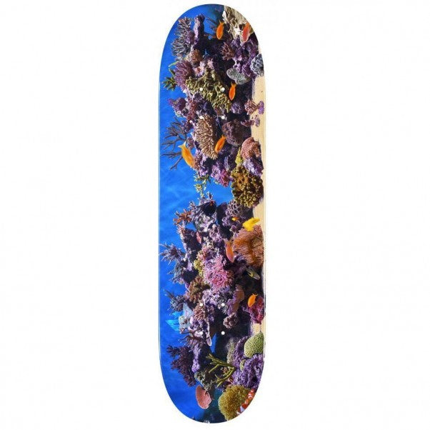 Mini Logo Fish Tank Deck - 8.25"